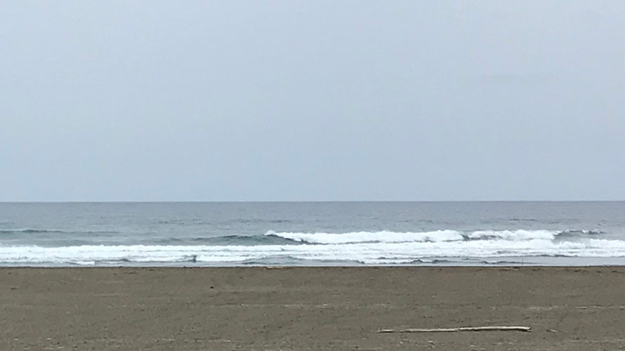 【Surf Day!! 5.14】